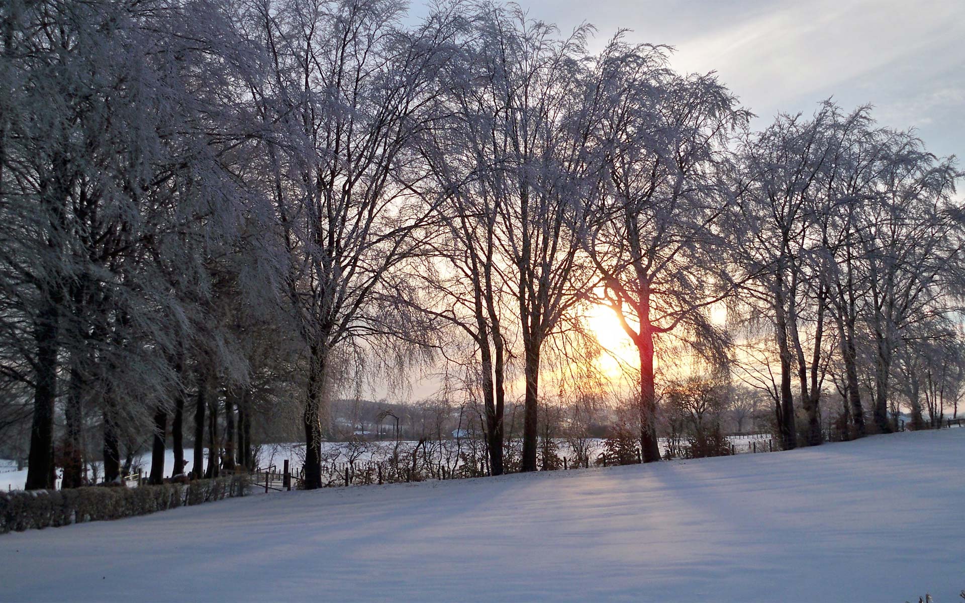 Winter in Nidrum